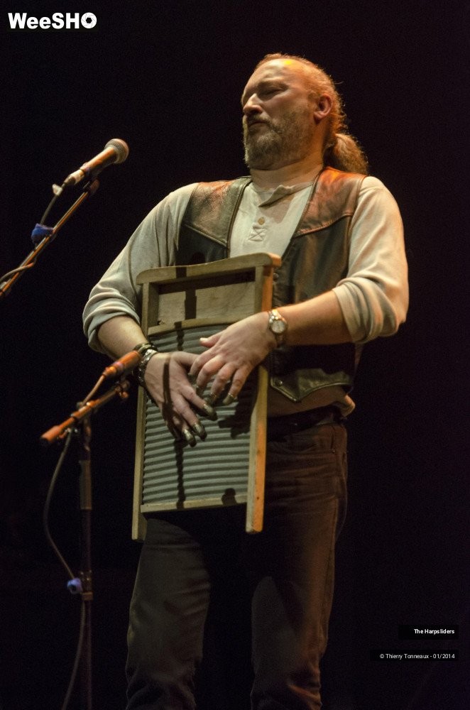 49/50 photos du spectacle The Harpsliders