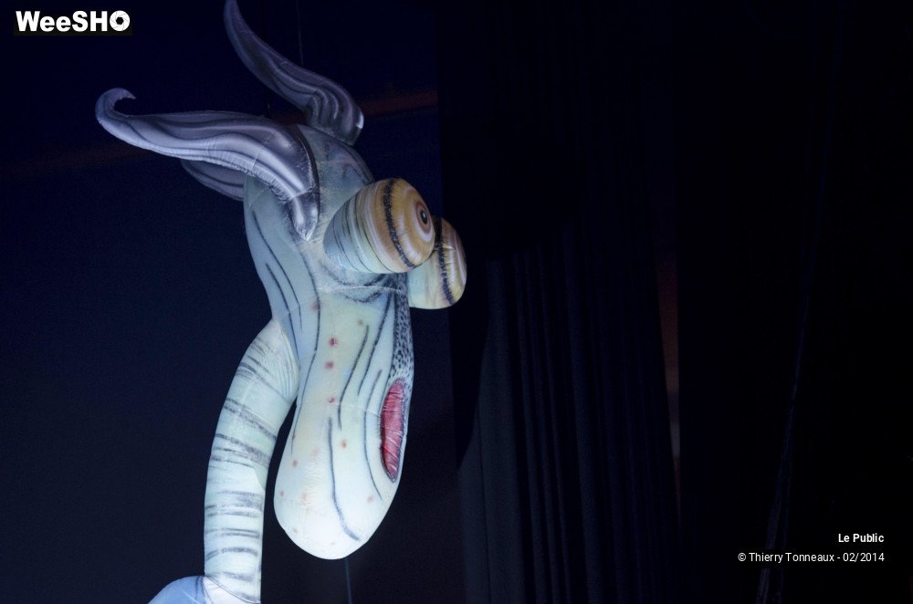 10/31 photos du spectacle The Australian Pink Floyd Show Ambiance