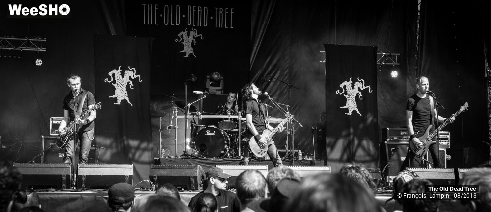 4/28 photos du spectacle The Old Dead Tree