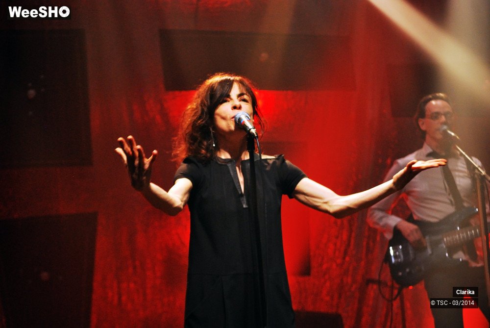 18/21 photos du spectacle Clarika