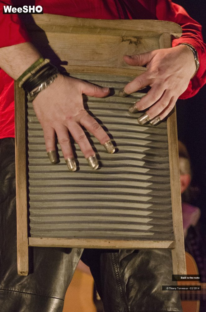 19/21 photos du spectacle Back to the roots