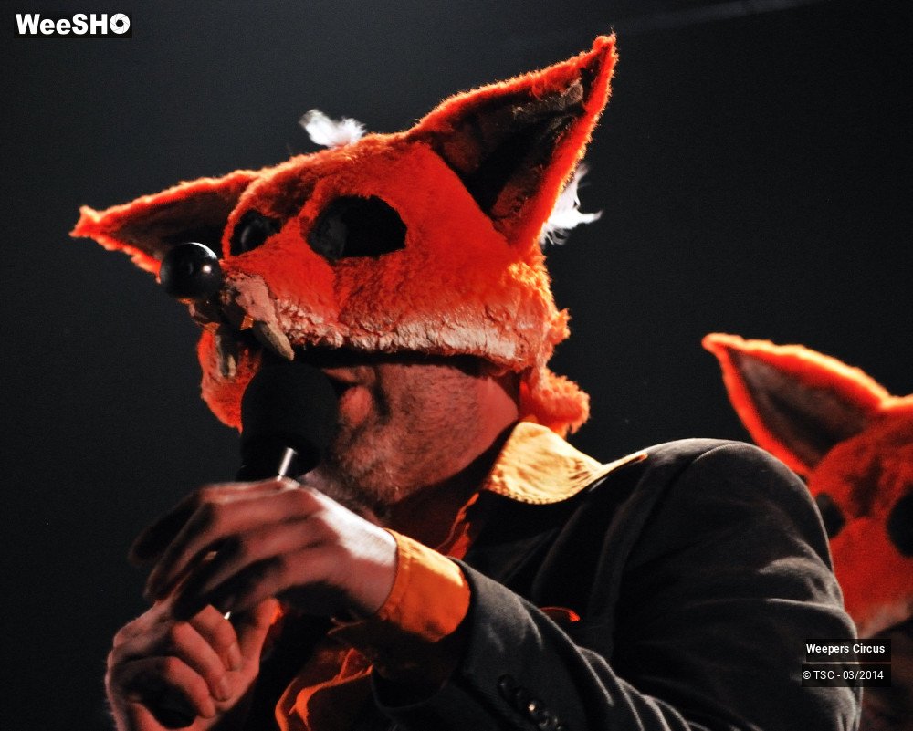 16/35 photos du spectacle Weepers Circus