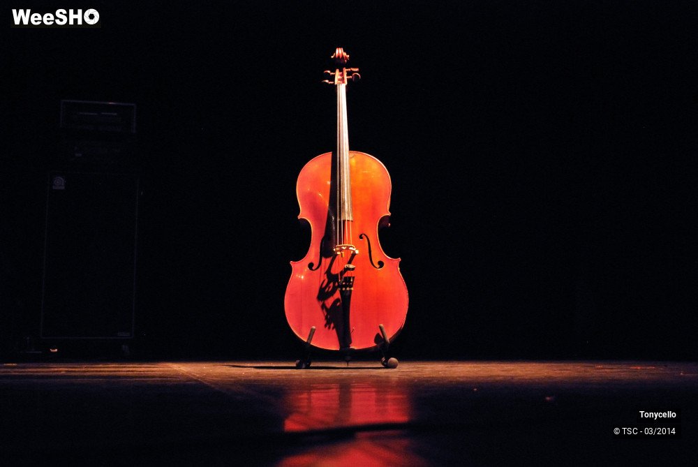 2/34 photos du spectacle Tonycello