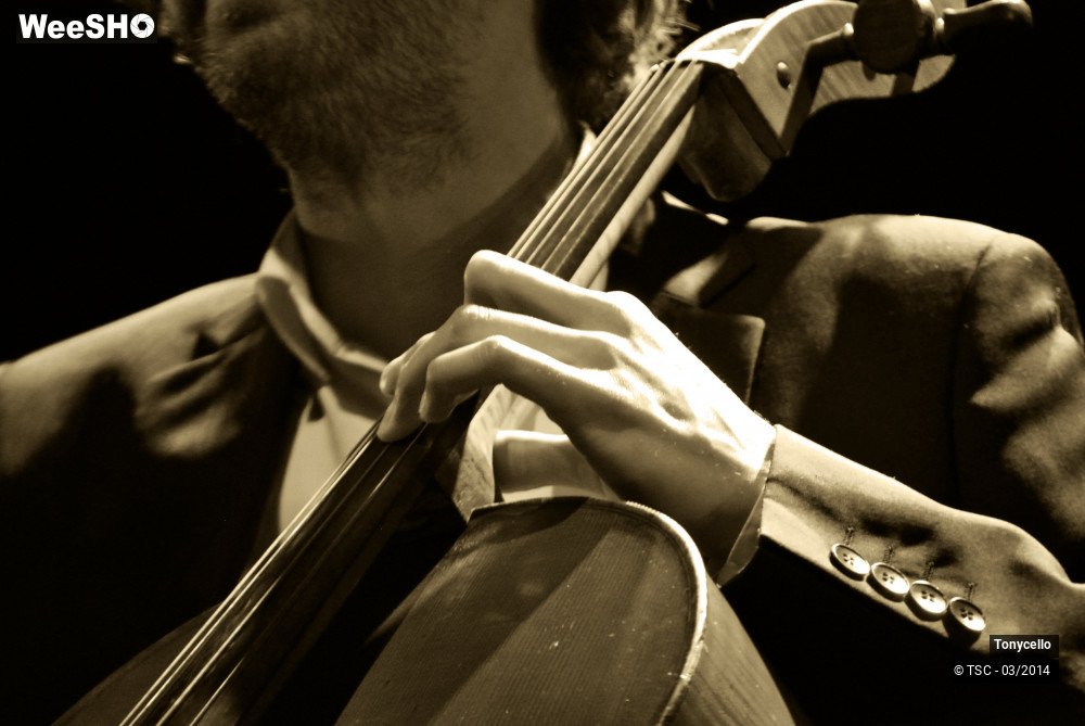 6/34 photos du spectacle Tonycello