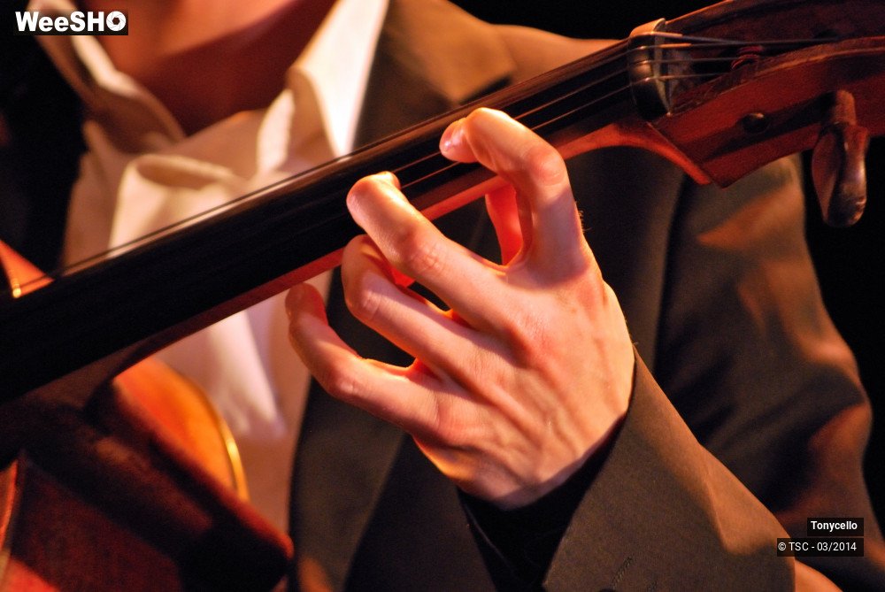 7/34 photos du spectacle Tonycello