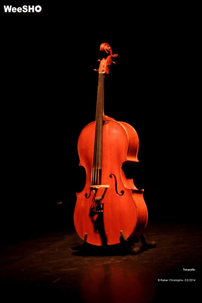 31/36 photos du spectacle Tonycello