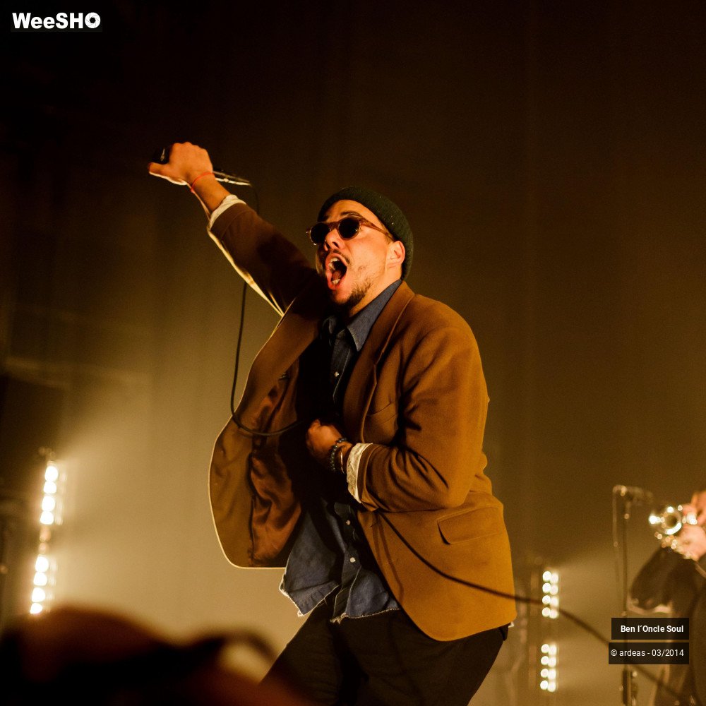 14/46 photos du spectacle Ben l'oncle soul