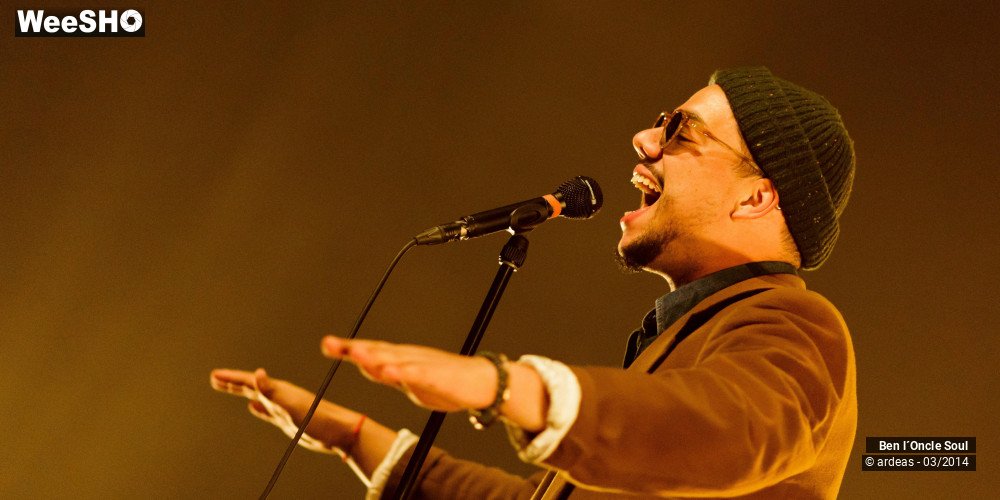 16/46 photos du spectacle Ben l'oncle soul
