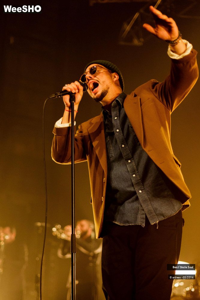 31/46 photos du spectacle Ben l'oncle soul