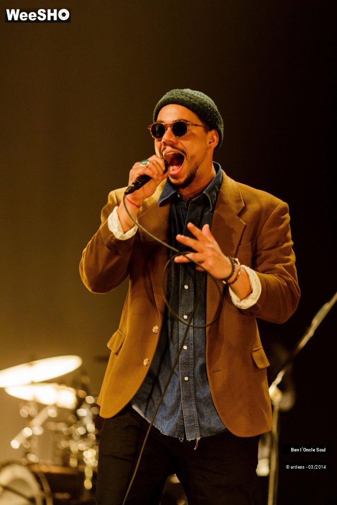 33/46 photos du spectacle Ben l'oncle soul