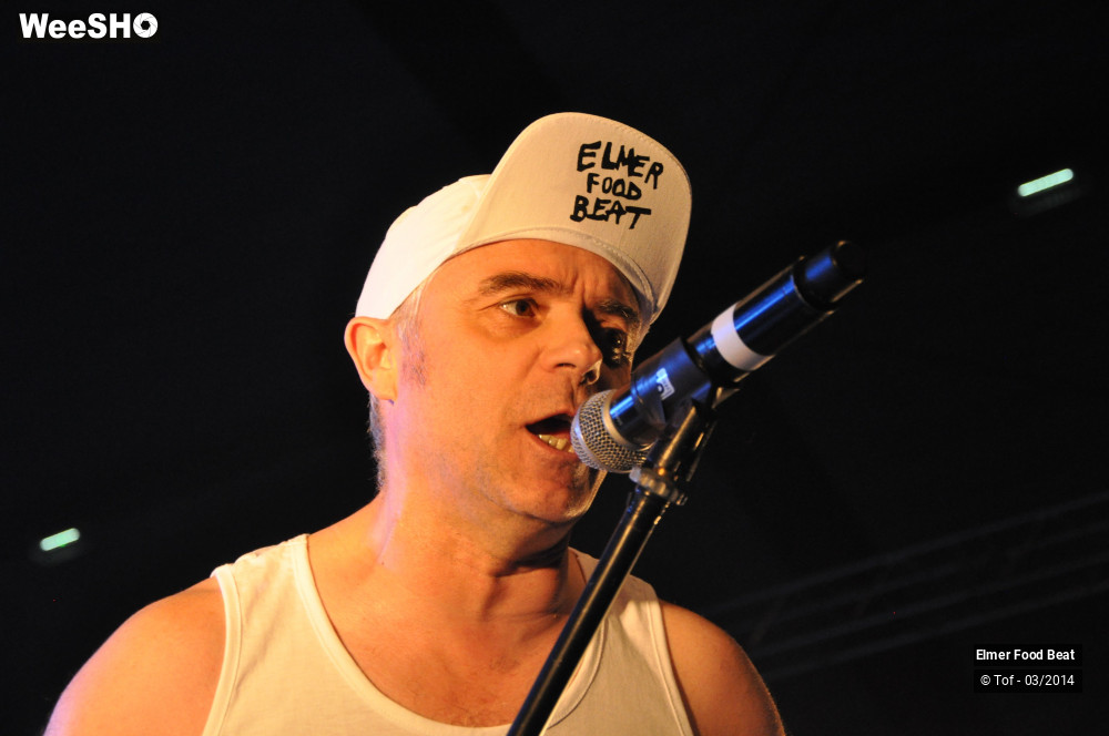 2/61 photos du spectacle Elmer Food Beat