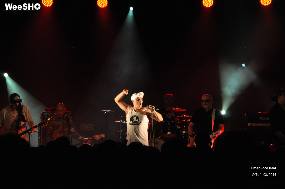 7/61 photos du spectacle Elmer Food Beat