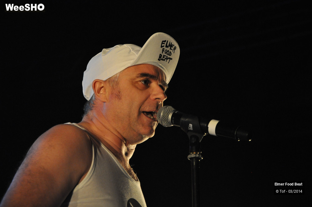 19/61 photos du spectacle Elmer Food Beat