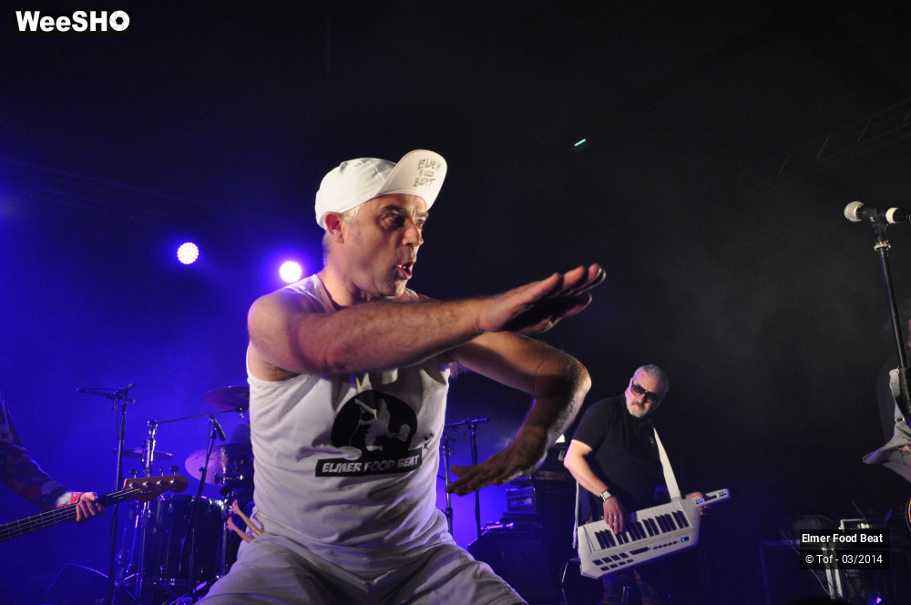 21/61 photos du spectacle Elmer Food Beat
