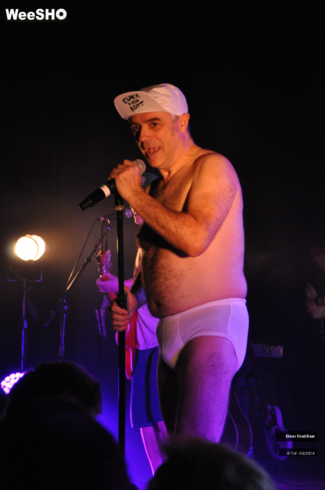 43/61 photos du spectacle Elmer Food Beat