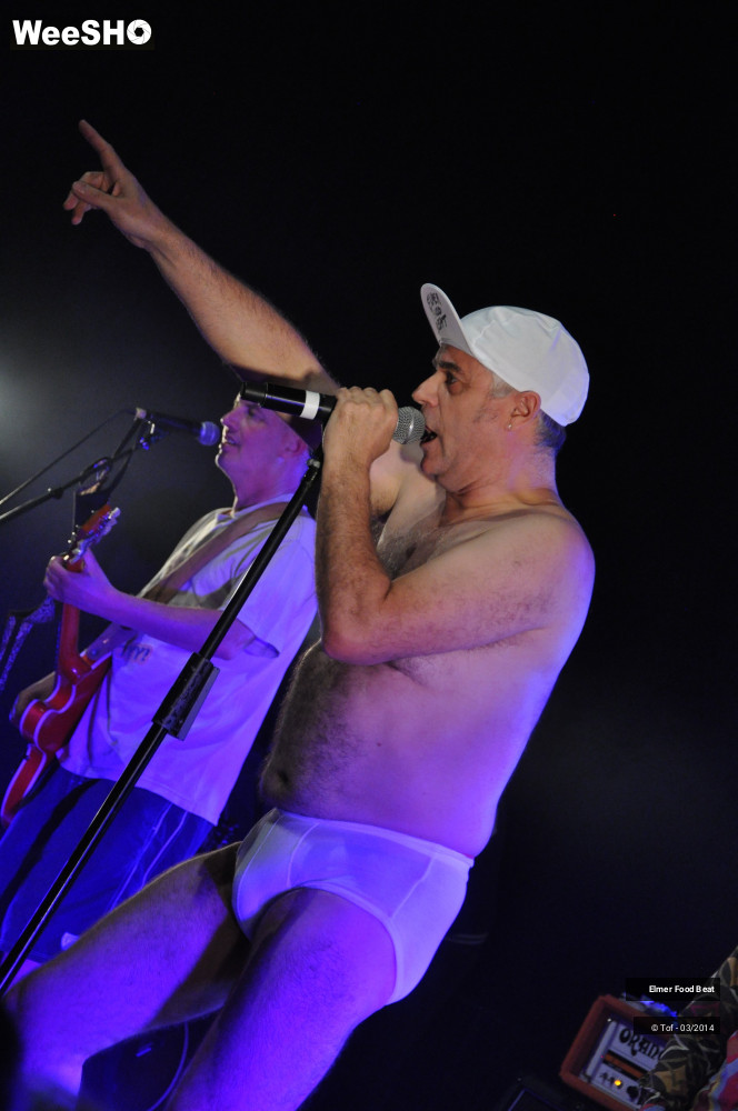 44/61 photos du spectacle Elmer Food Beat