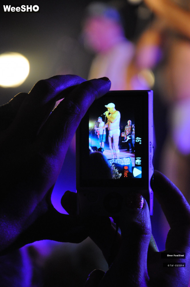 45/61 photos du spectacle Elmer Food Beat