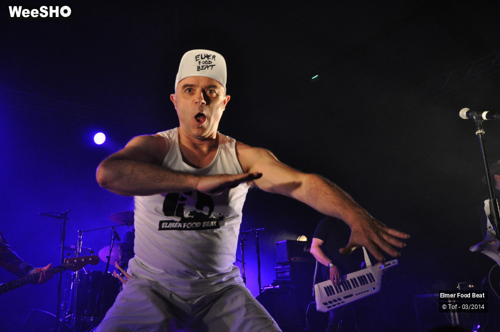 51/61 photos du spectacle Elmer Food Beat