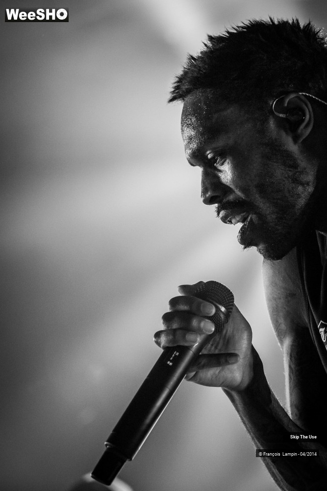 3/39 photos du spectacle Skip The Use