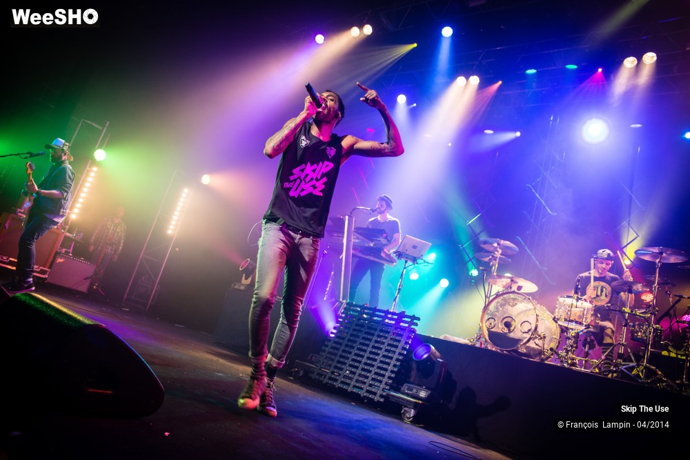 8/39 photos du spectacle Skip The Use
