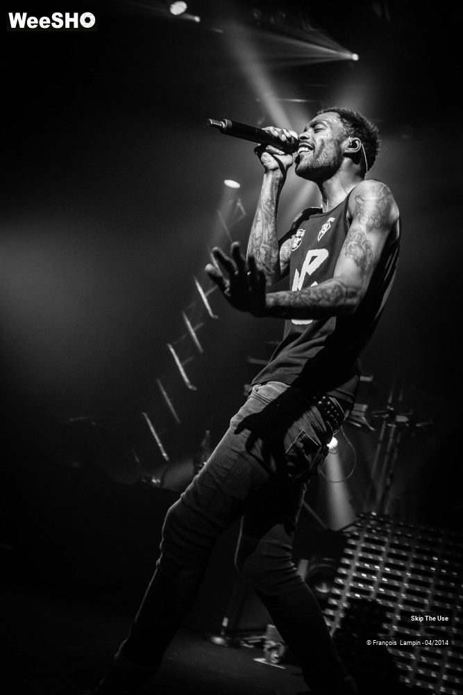 11/39 photos du spectacle Skip The Use