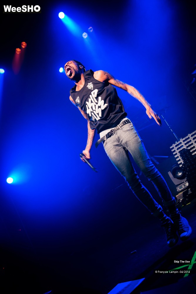 12/39 photos du spectacle Skip The Use