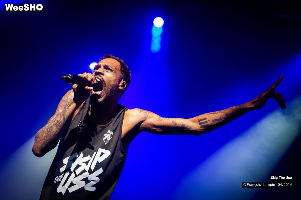 13/39 photos du spectacle Skip The Use