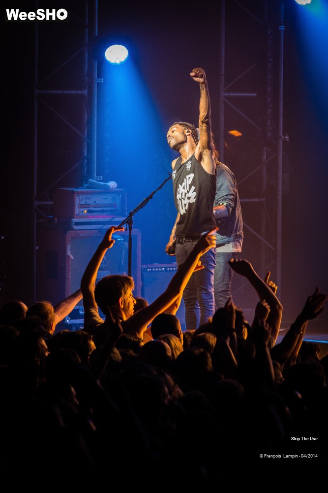 15/39 photos du spectacle Skip The Use
