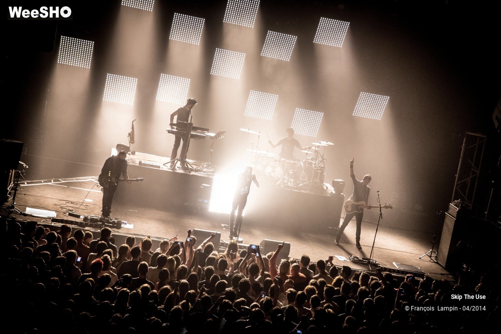 17/39 photos du spectacle Skip The Use