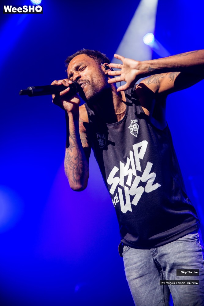 19/39 photos du spectacle Skip The Use