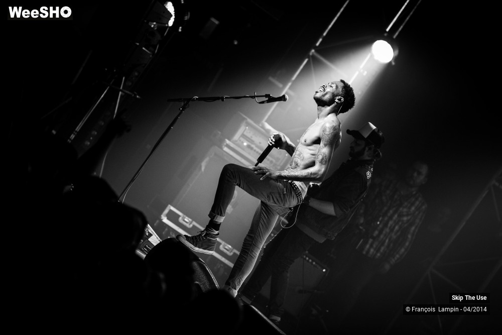 20/39 photos du spectacle Skip The Use
