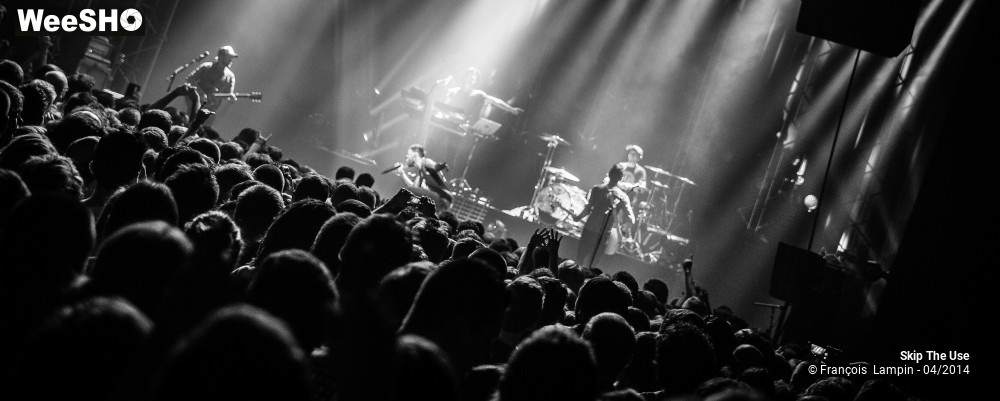 21/39 photos du spectacle Skip The Use