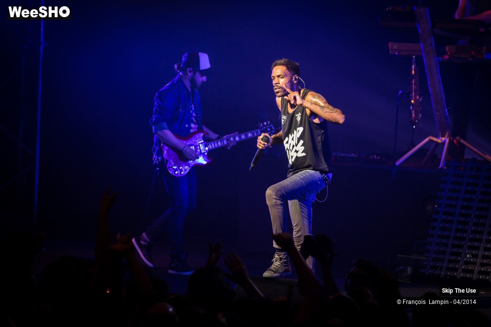 22/39 photos du spectacle Skip The Use