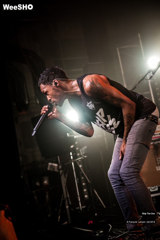 23/39 photos du spectacle Skip The Use