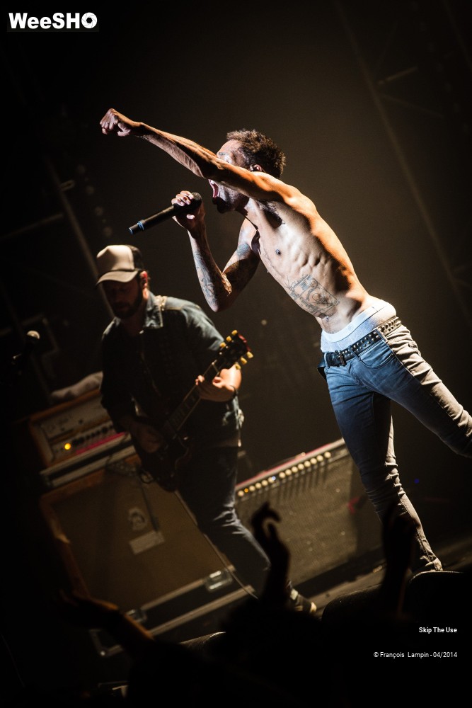 24/39 photos du spectacle Skip The Use