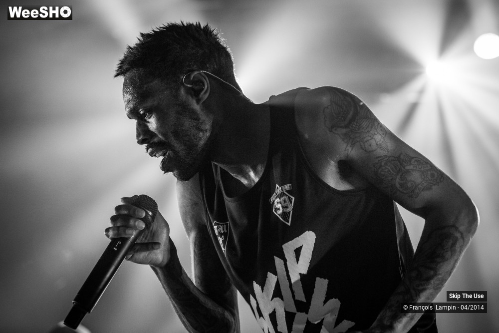 25/39 photos du spectacle Skip The Use