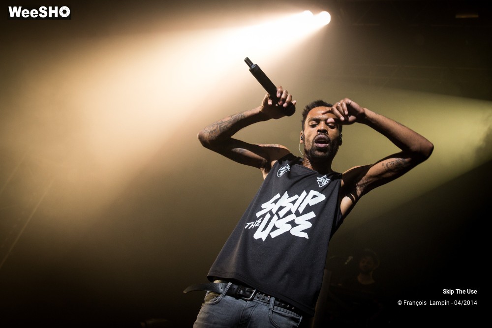 28/39 photos du spectacle Skip The Use