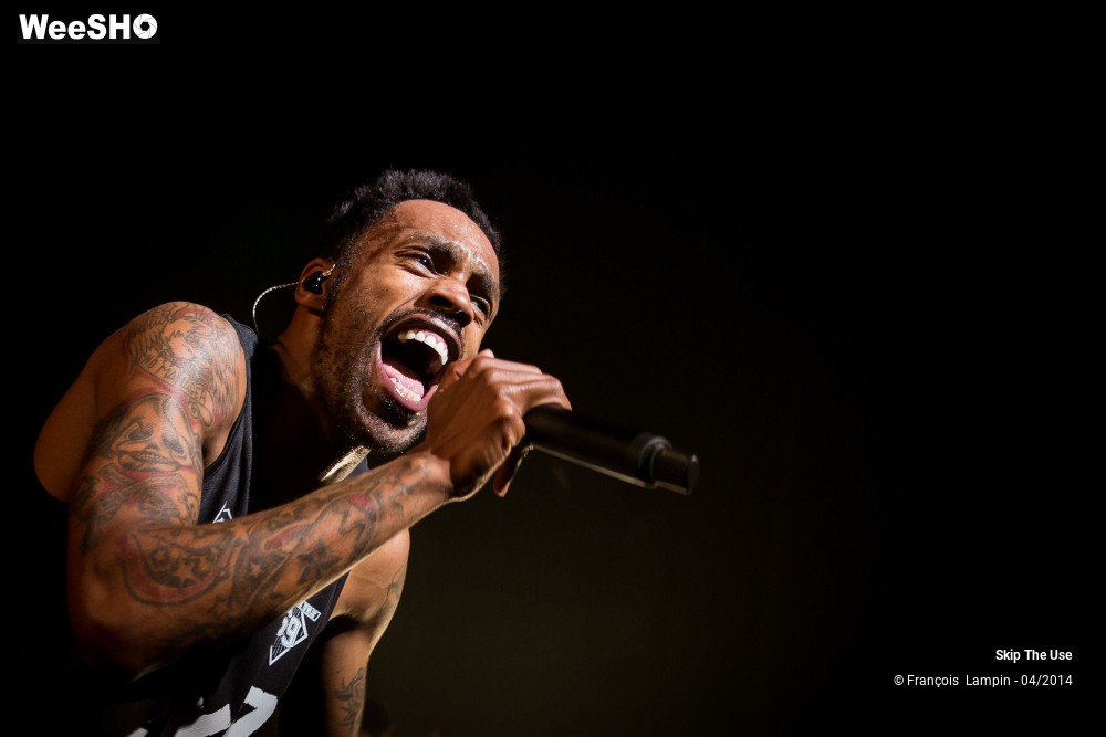 29/39 photos du spectacle Skip The Use