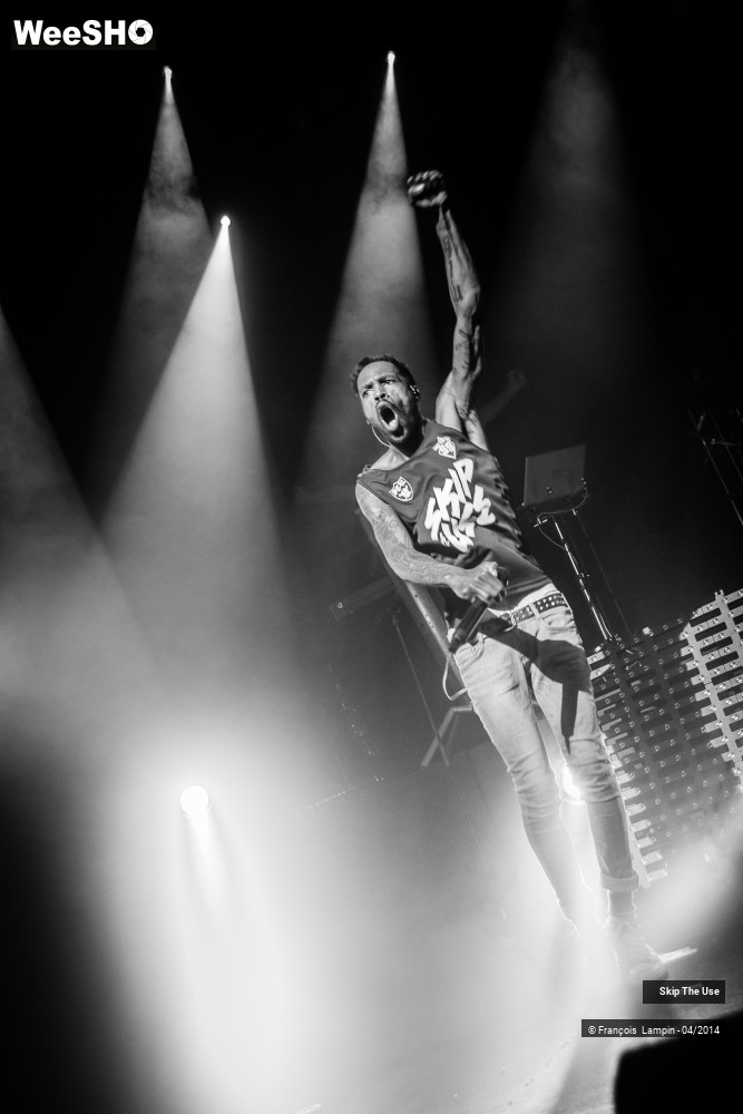 32/39 photos du spectacle Skip The Use