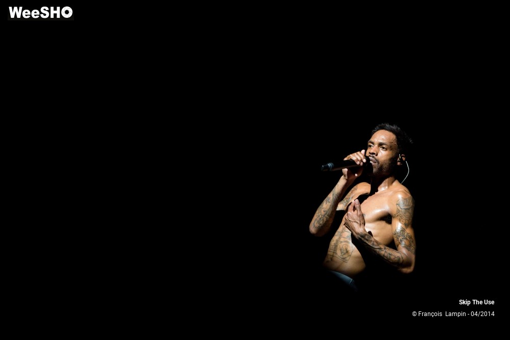 34/39 photos du spectacle Skip The Use
