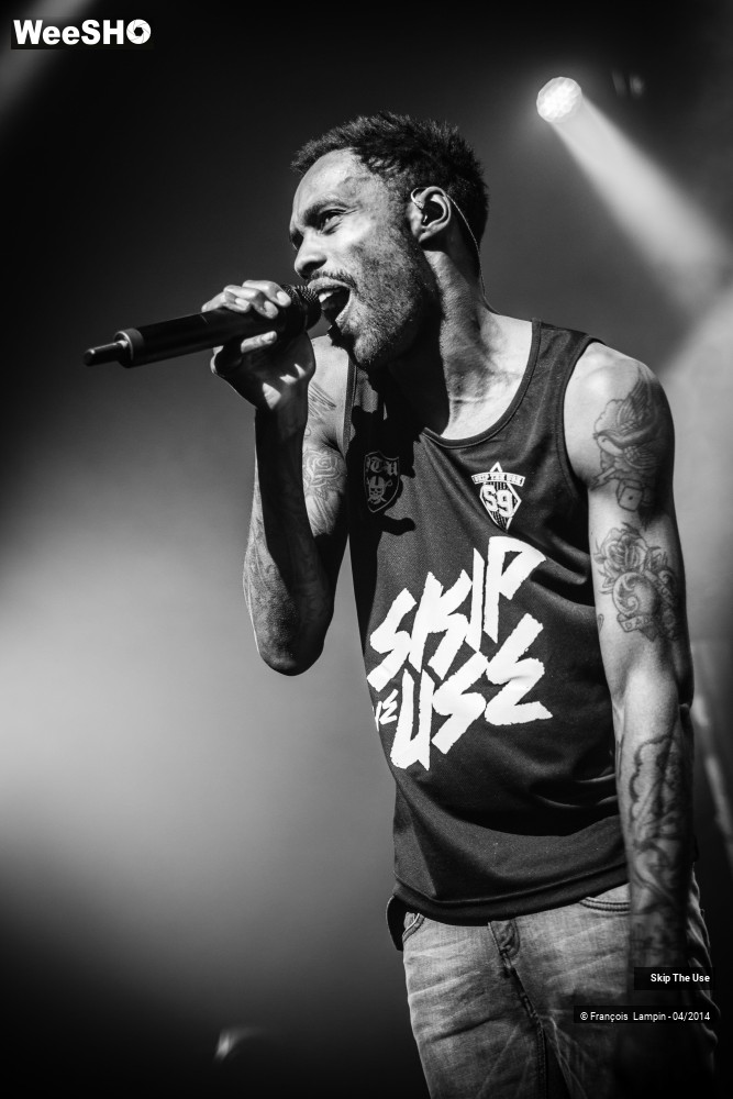 39/39 photos du spectacle Skip The Use