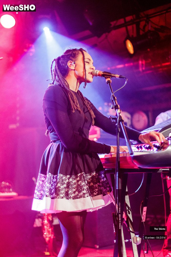 13/20 photos du spectacle The skints