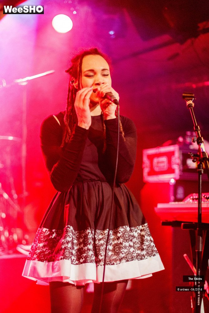 14/20 photos du spectacle The skints