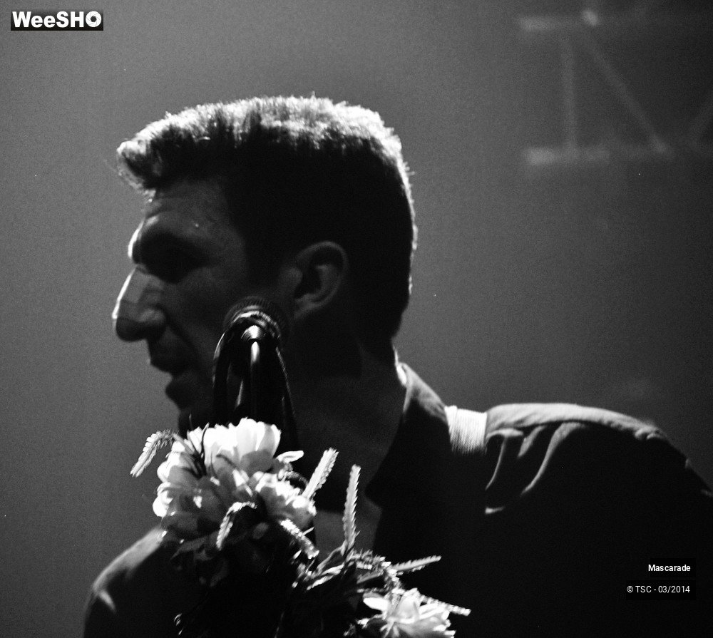 40/40 photos du spectacle Mascarade