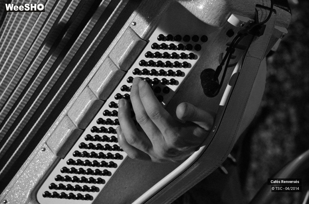 38/45 photos du spectacle Cafés Renversés