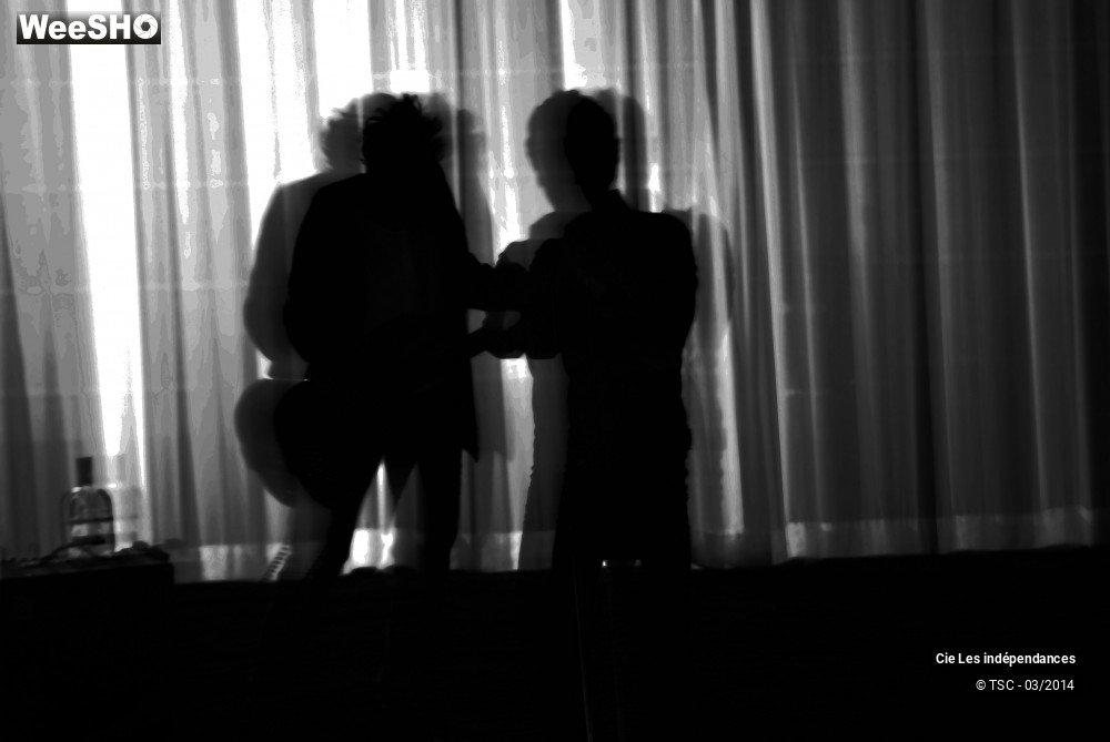 13/26 photos du spectacle Spleenorama