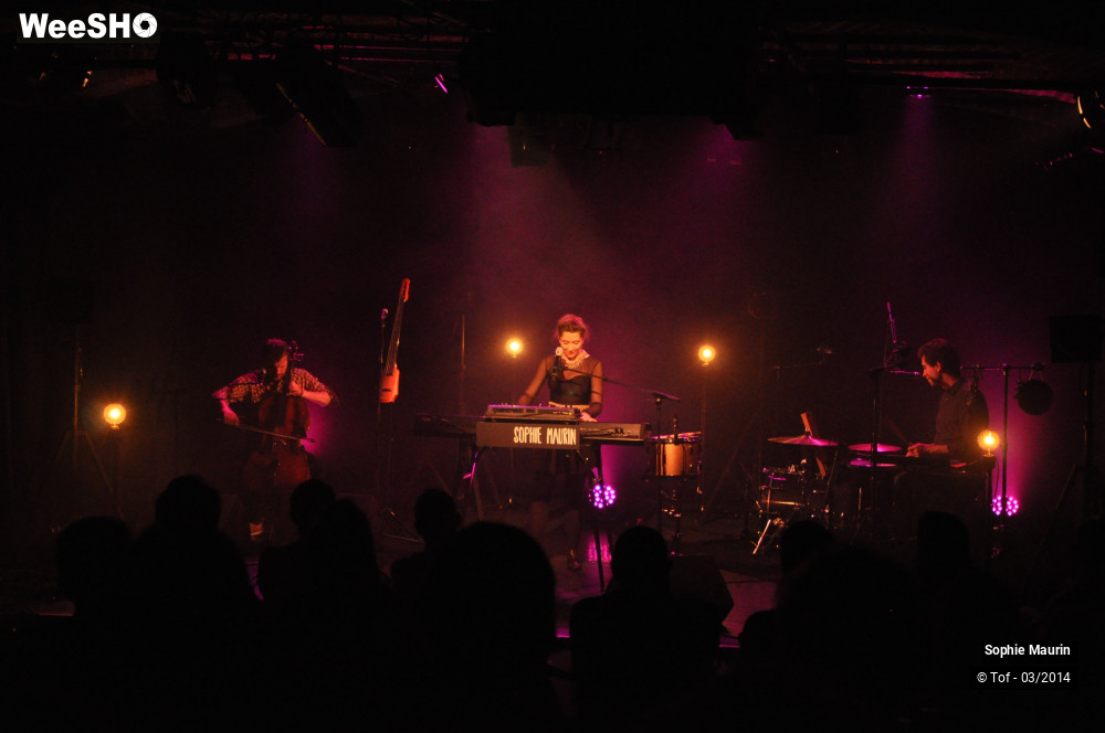 3/51 photos du spectacle Sophie Maurin