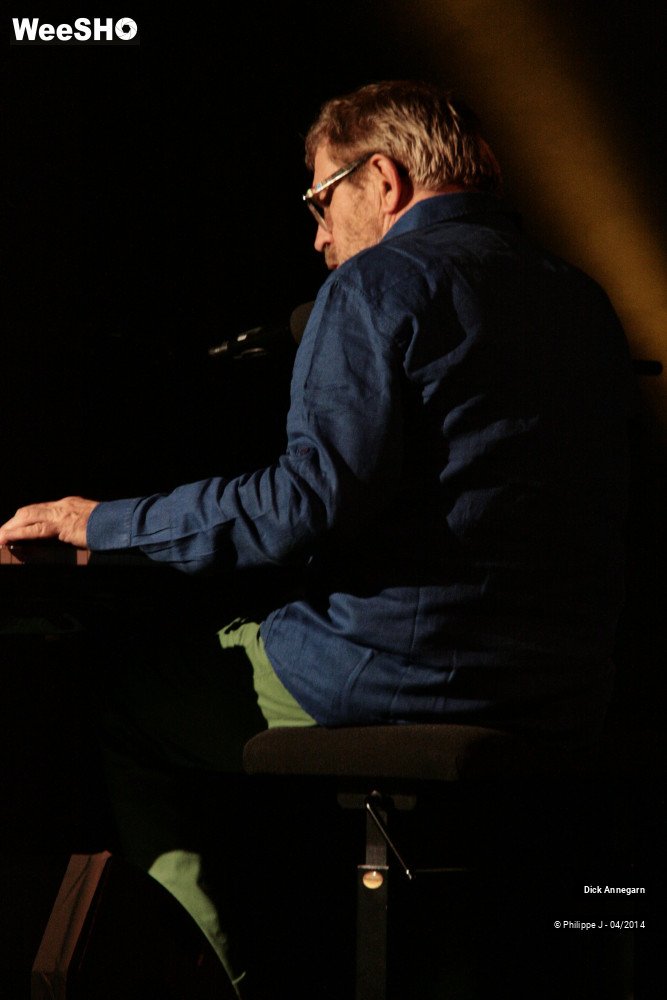 14/20 photos du spectacle Dick Annegarn