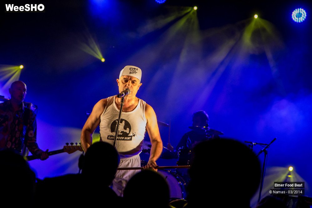 2/41 photos du spectacle Elmer Food Beat