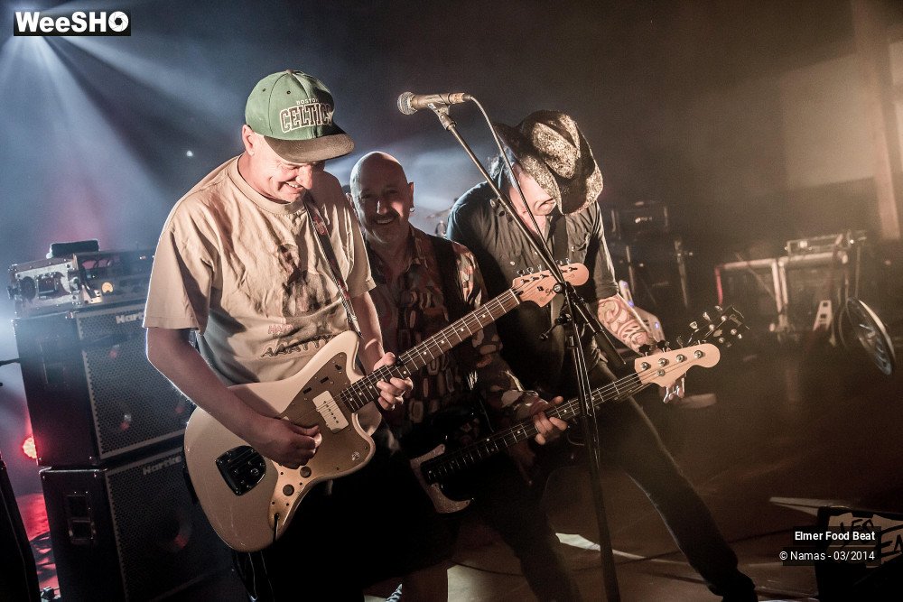 3/41 photos du spectacle Elmer Food Beat